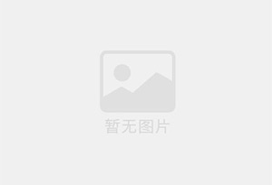 沙棘粉